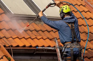 Démoussage et hydrofuge de toiture à Conquereuil